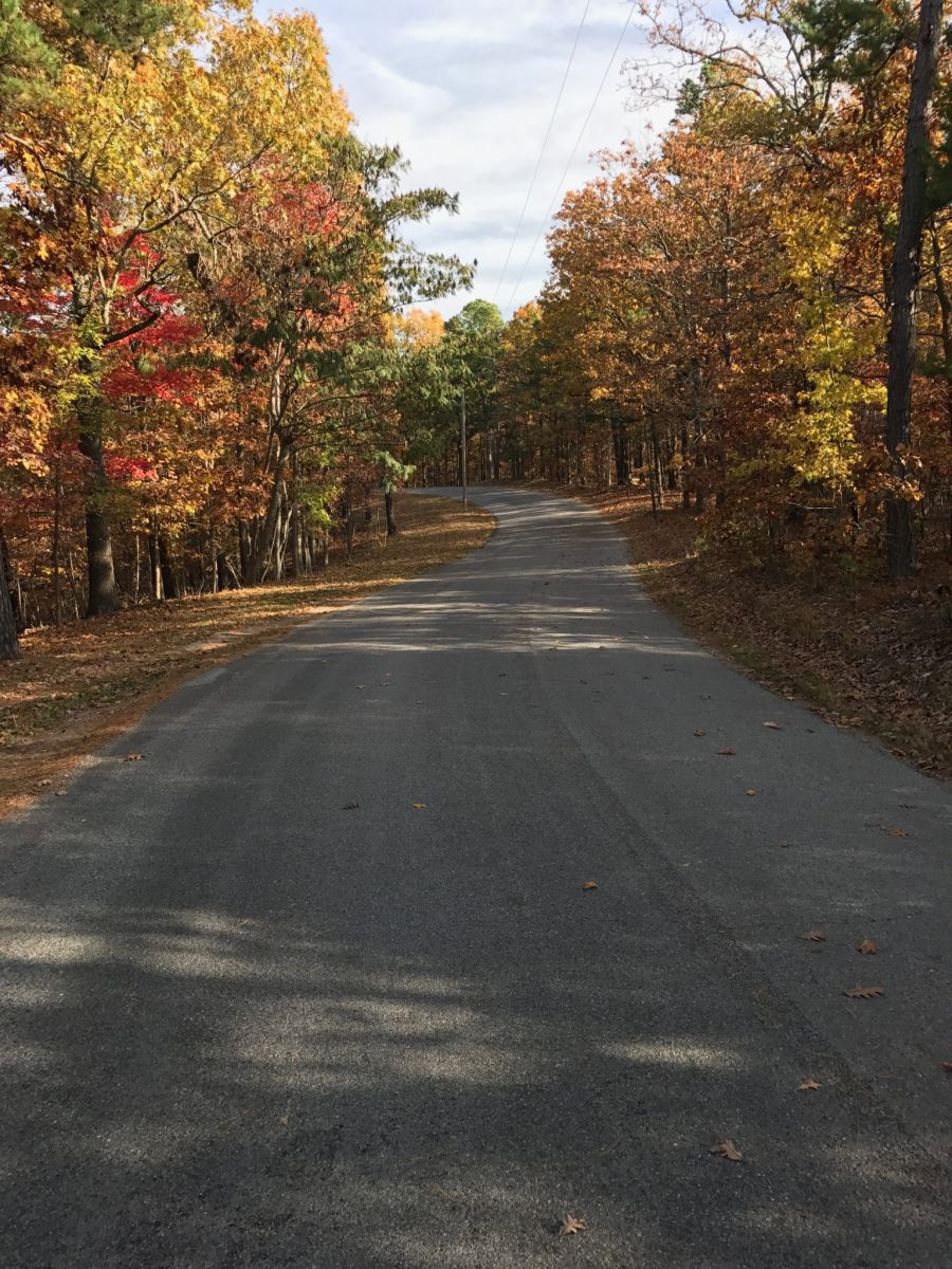 Flint Ridge Autumn Road