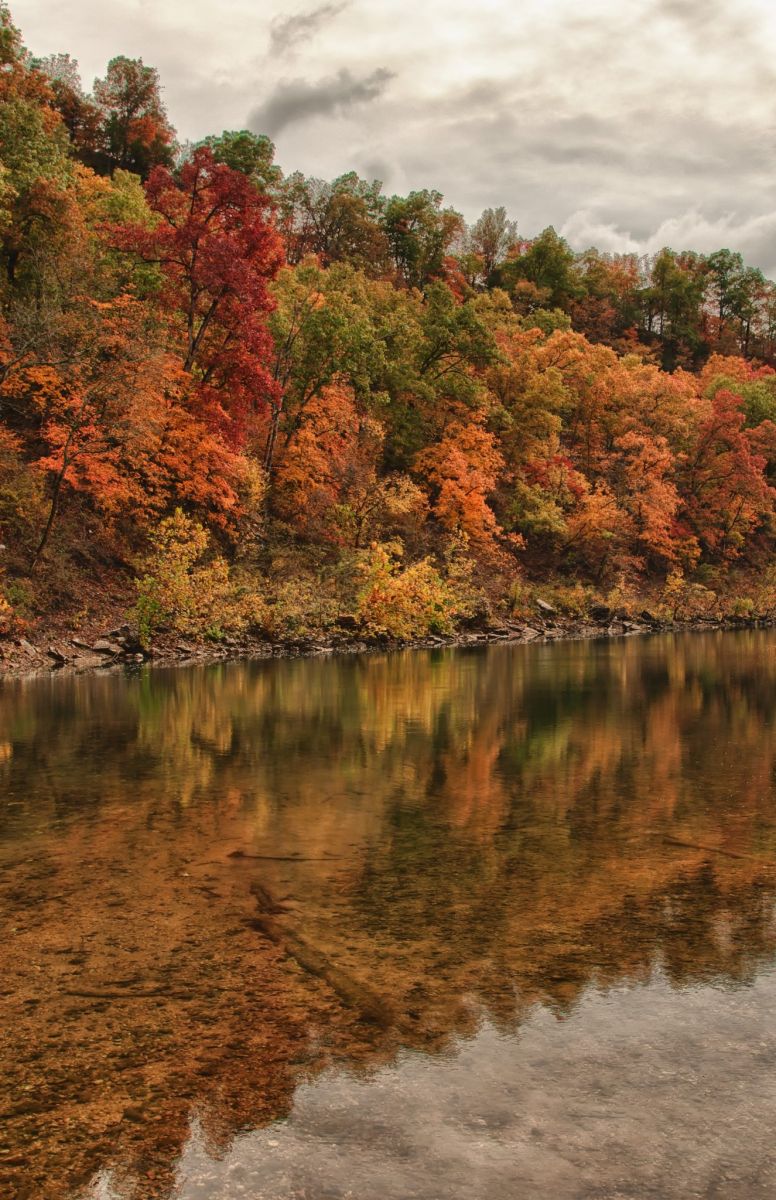 Flint Ridge Autumn Trees